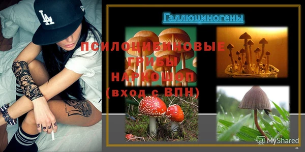 гидропоника Грязовец